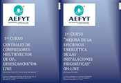 AEFYT LA EFICIENCIA PROGRAMA ON LINE 0