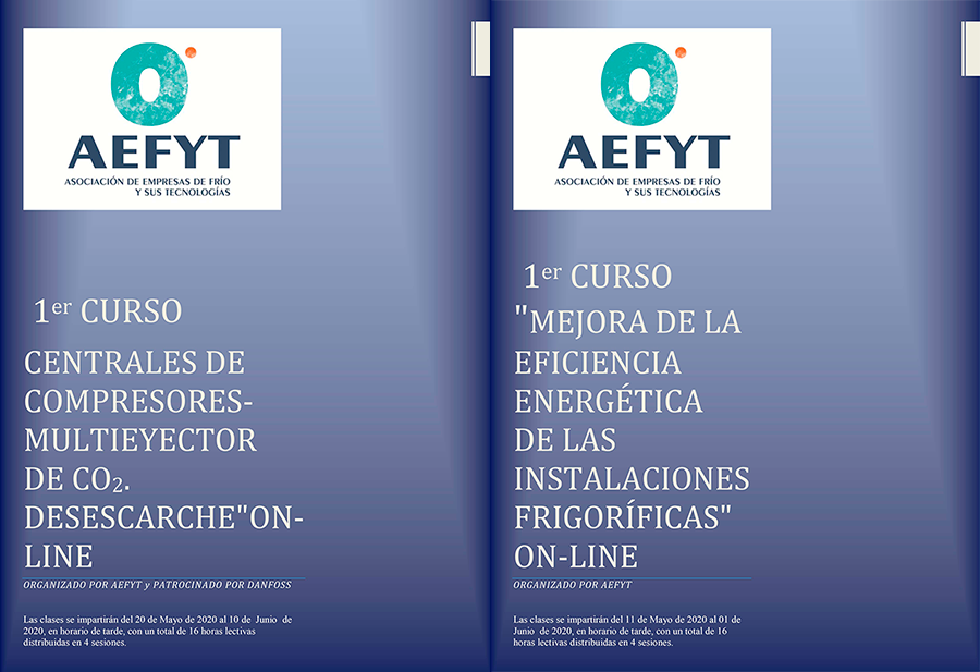 AEFYT LA EFICIENCIA PROGRAMA ON LINE 3