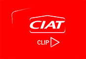 CIAT VIDEOS 0