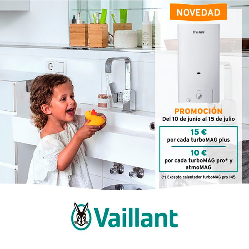 VAILLANT nuevo calentador atmosférico Bajo NOx 